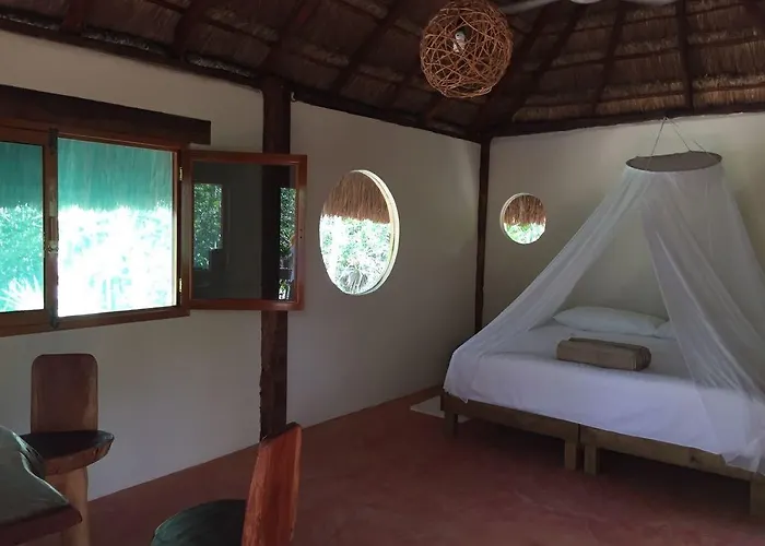 Lodge Dive